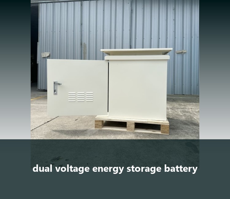 dual voltage energy storage battery
