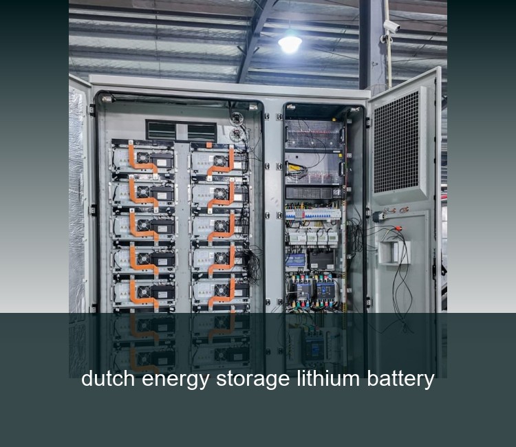 dutch energy storage lithium battery