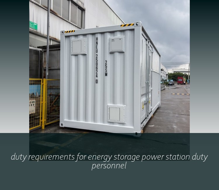 duty requirements for energy storage power station duty personnel