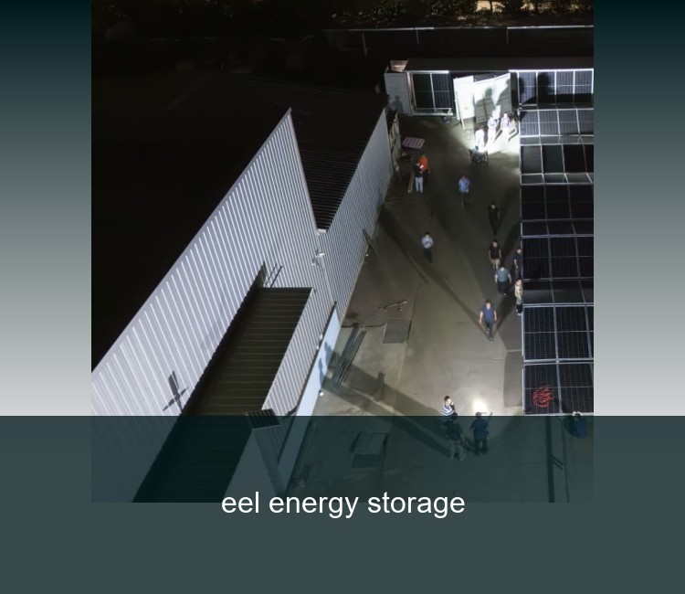 eel energy storage