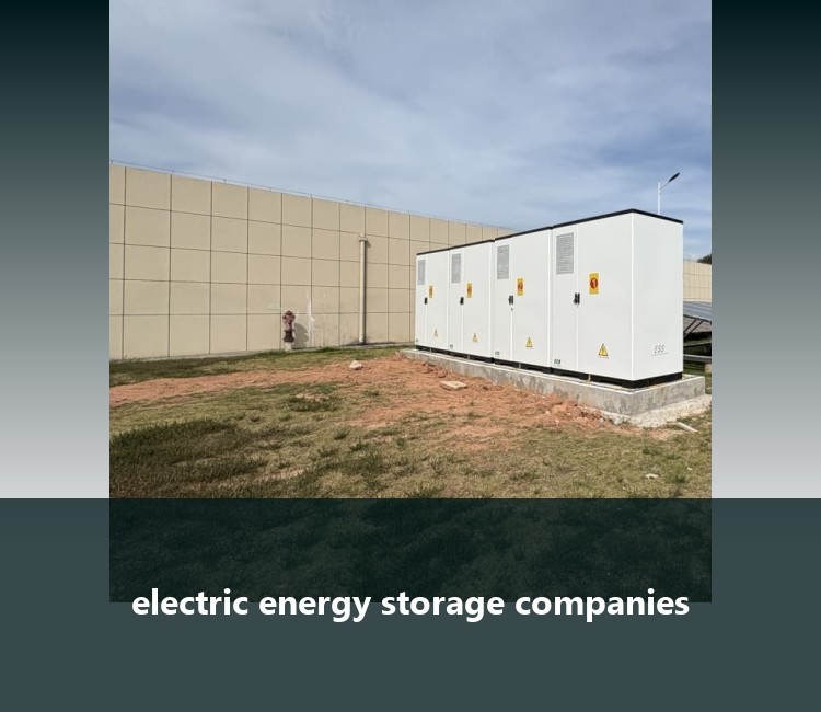 electric energy storage companies