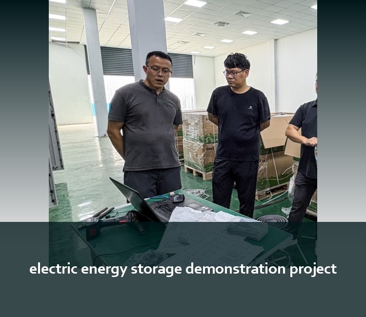 electric energy storage demonstration project