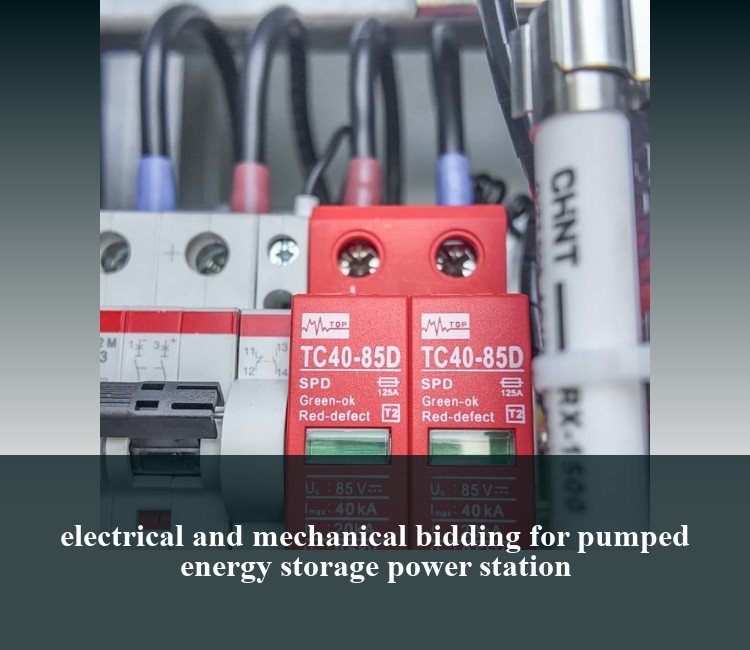 electrical and mechanical bidding for pumped energy storage power station