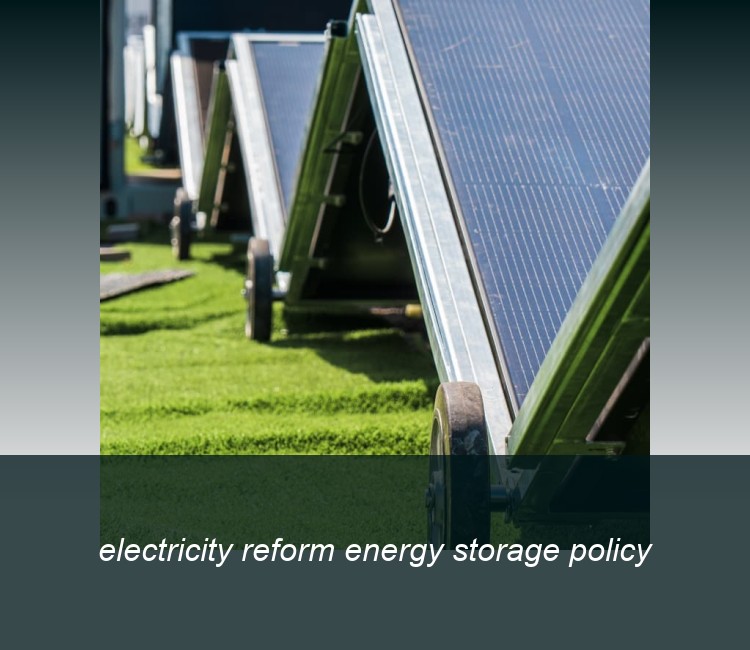 electricity reform energy storage policy