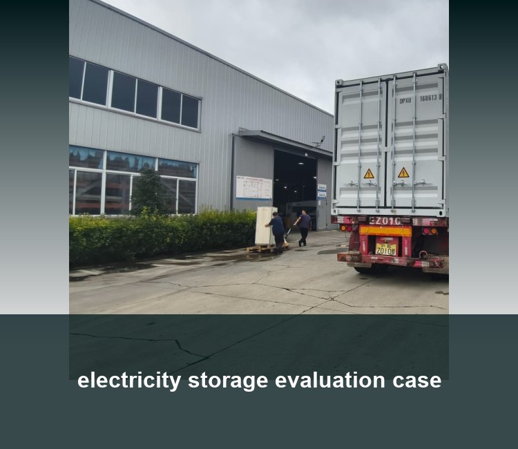 electricity storage evaluation case