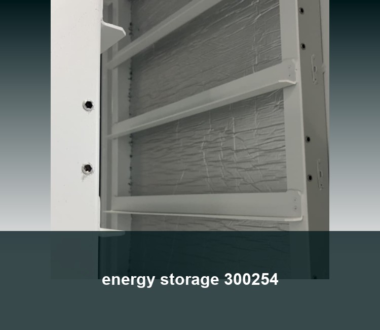 energy storage 300254