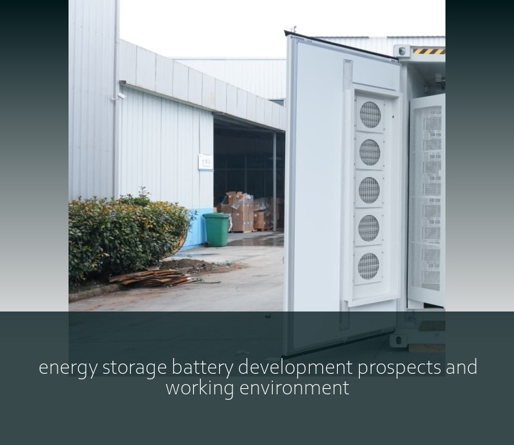 energy storage battery development prospects and working environment