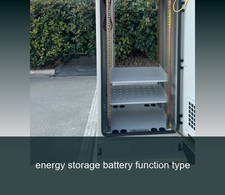 energy storage battery function type