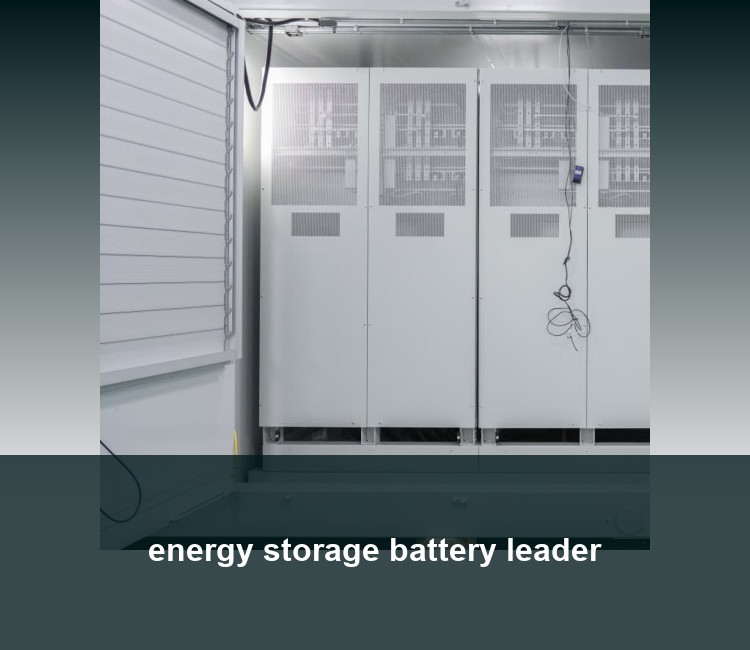 energy storage battery leader