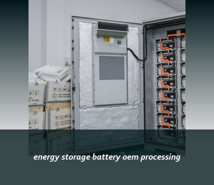 energy storage battery oem processing