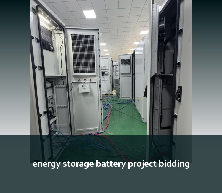 energy storage battery project bidding
