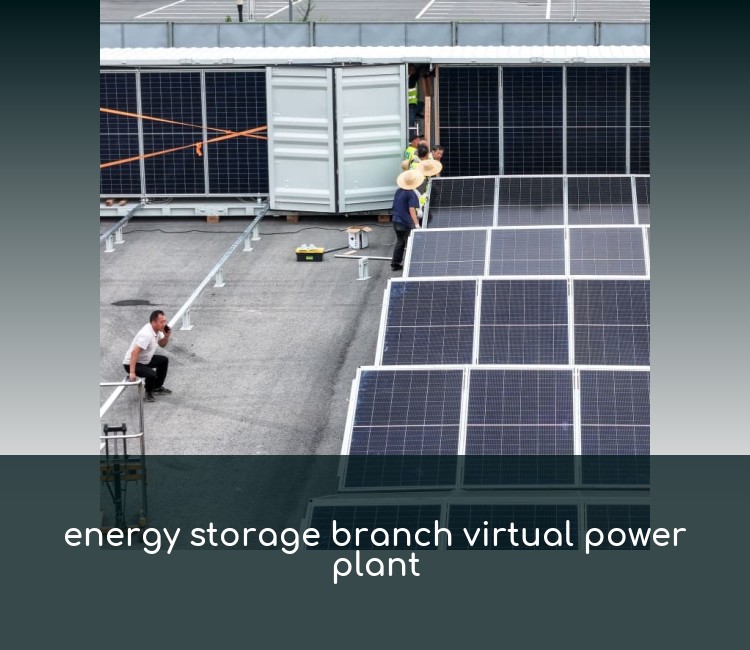 energy storage branch virtual power plant