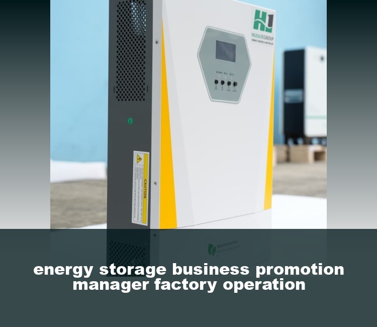 energy storage business promotion manager factory operation