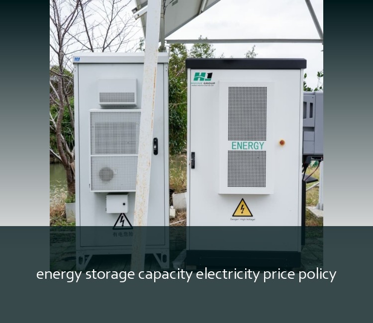 energy storage capacity electricity price policy