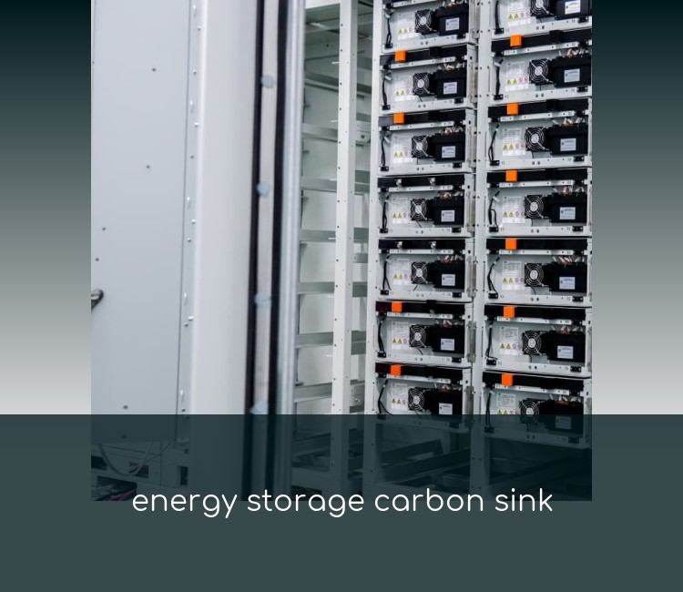 energy storage carbon sink