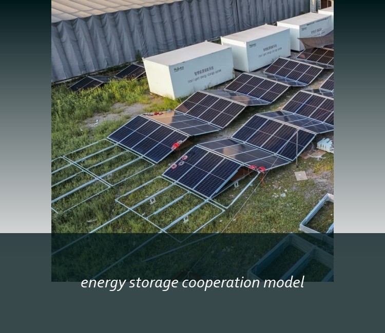 energy storage cooperation model