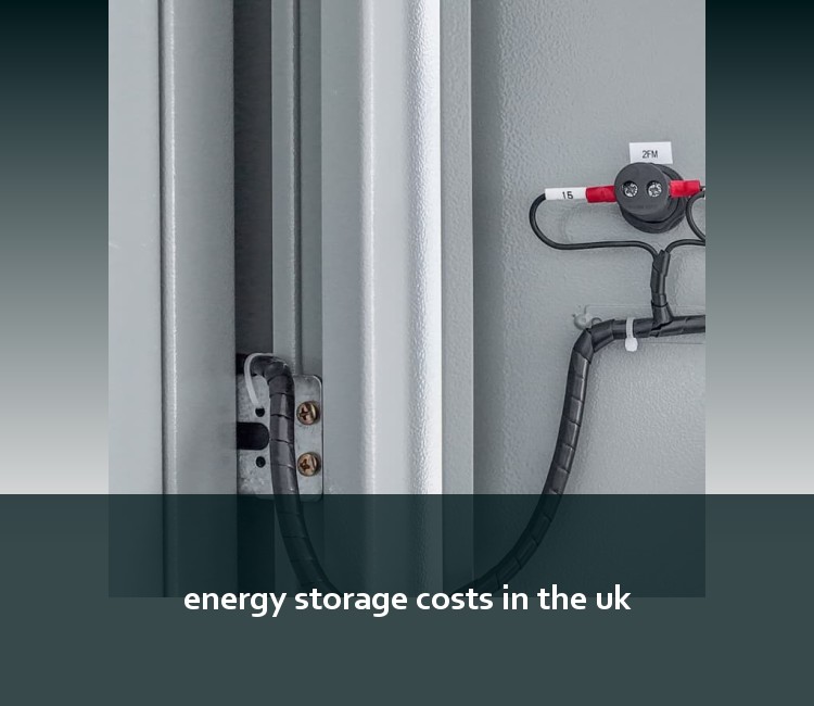energy storage costs in the uk