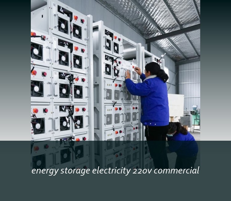 energy storage electricity 220v commercial