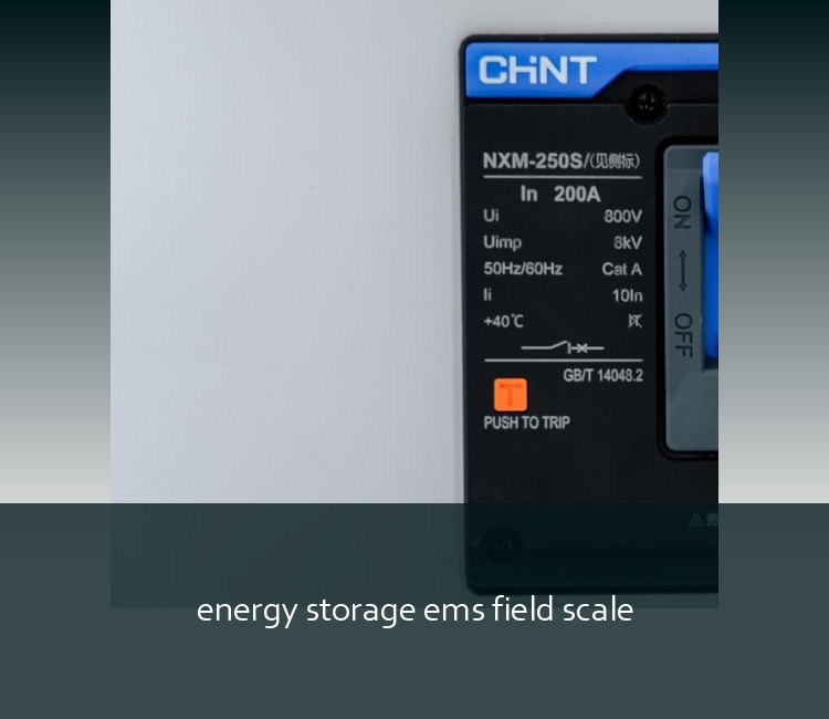 energy storage ems field scale