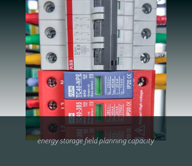 energy storage field planning capacity