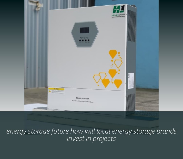 energy storage future how will local energy storage brands invest in projects