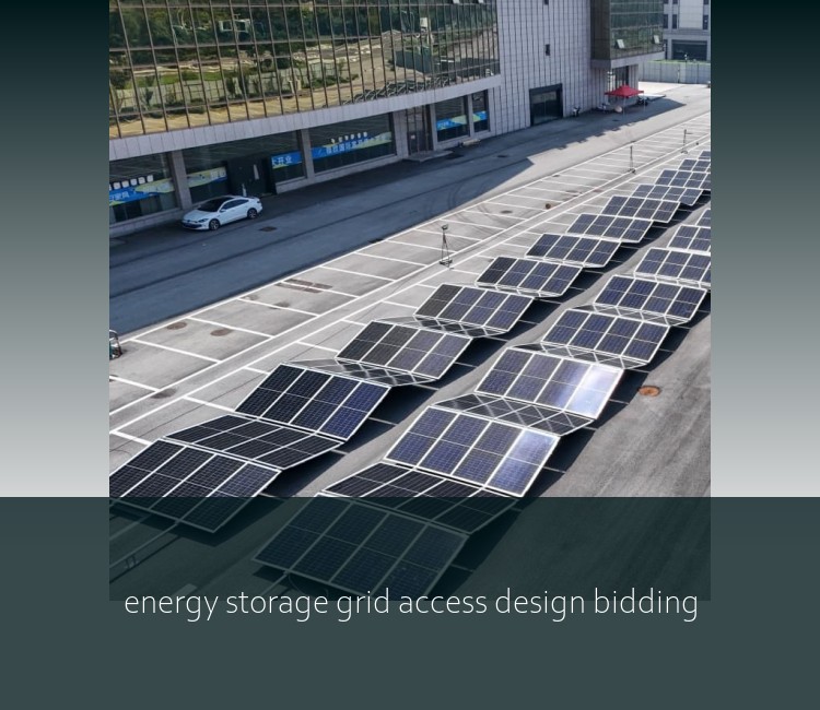 energy storage grid access design bidding