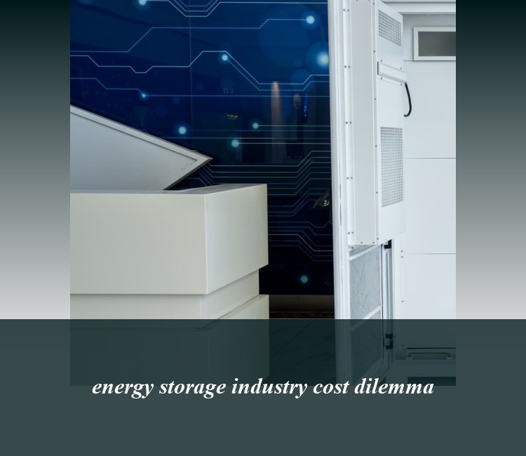 energy storage industry cost dilemma