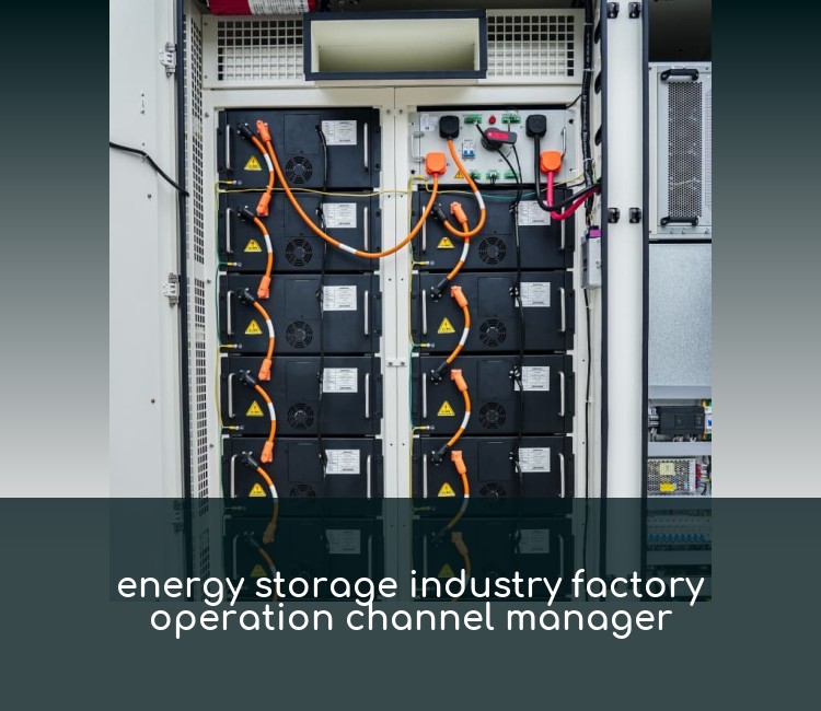 energy storage industry factory operation channel manager
