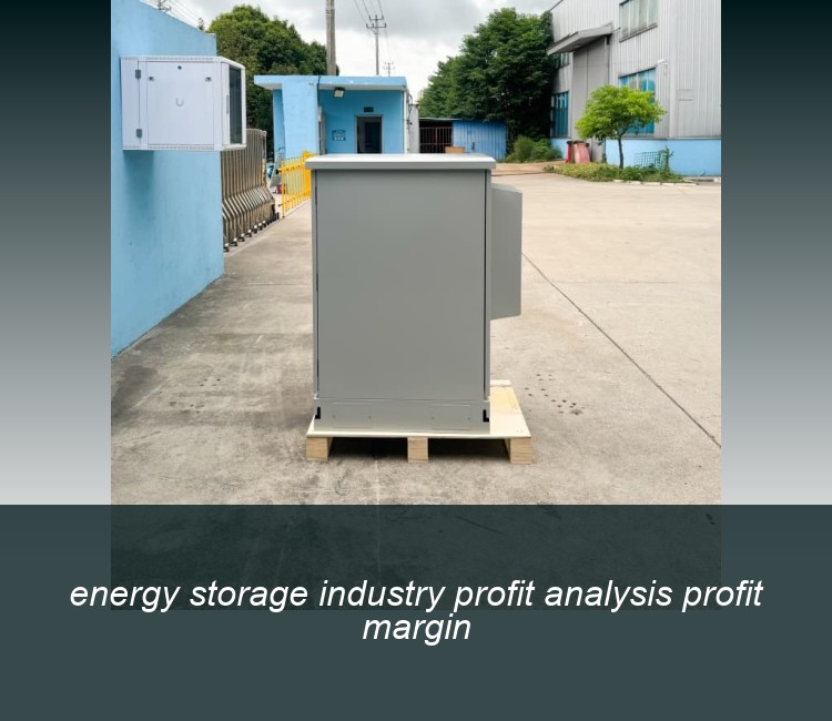energy storage industry profit analysis profit margin
