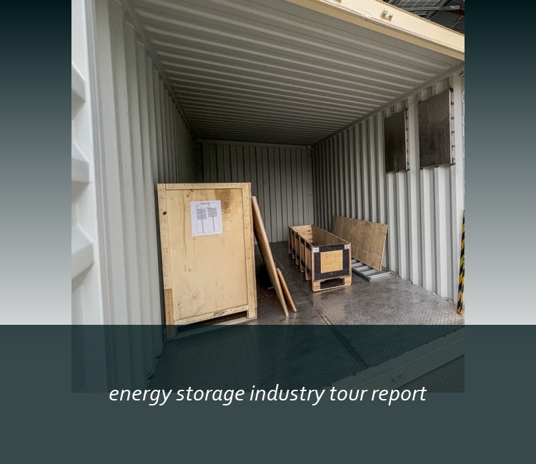 energy storage industry tour report