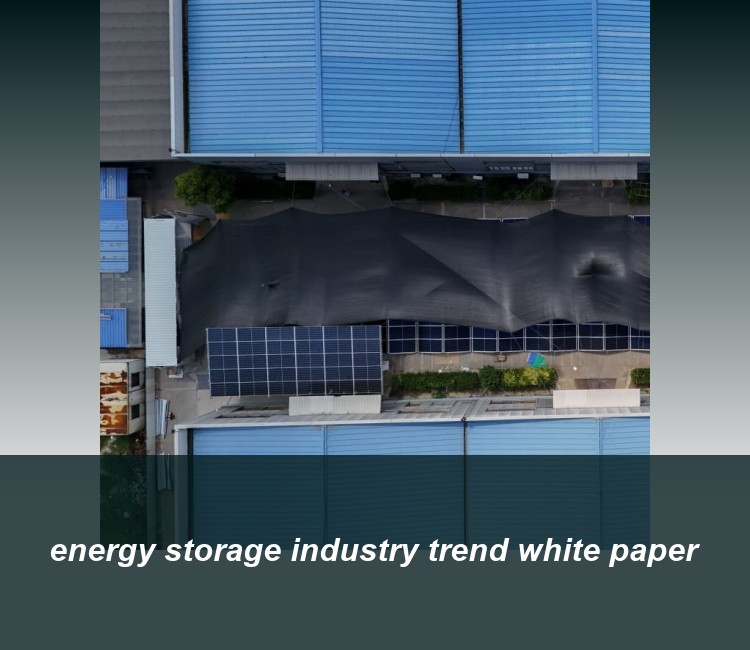 energy storage industry trend white paper
