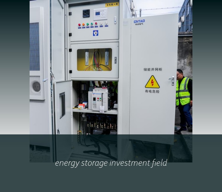 energy storage investment field
