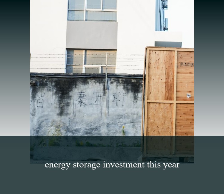 energy storage investment this year
