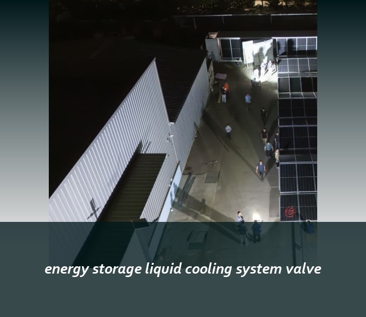 energy storage liquid cooling system valve