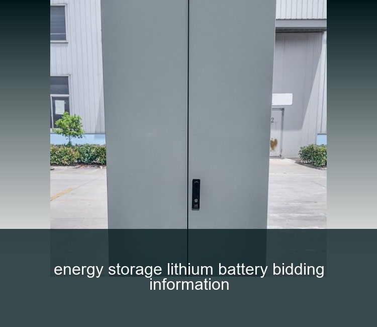 energy storage lithium battery bidding information