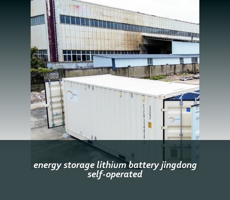 energy storage lithium battery jingdong self-operated
