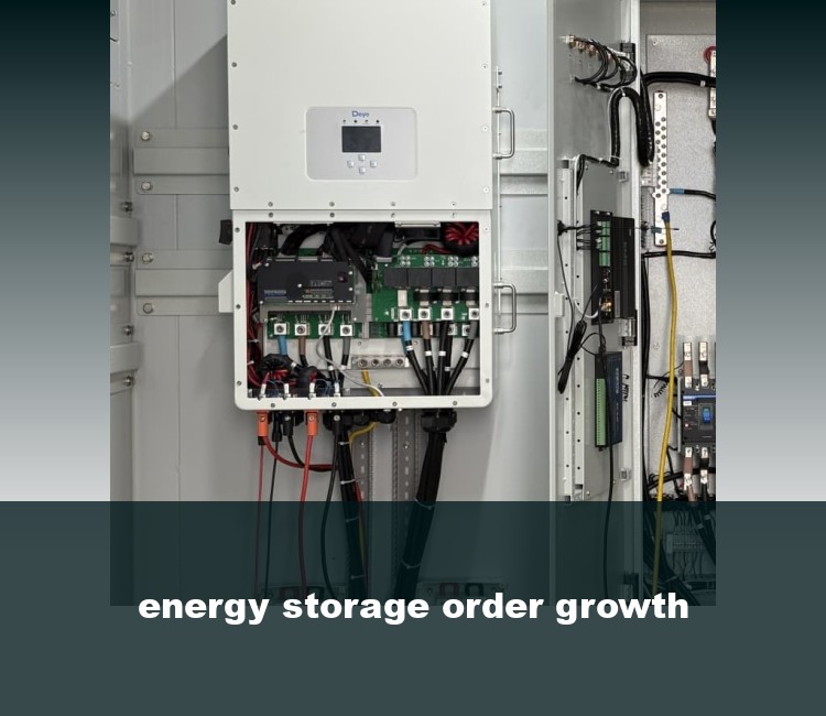 energy storage order growth