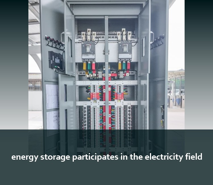 energy storage participates in the electricity field