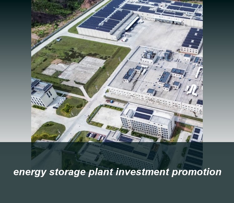 energy storage plant investment promotion