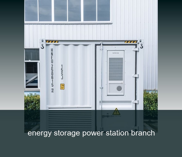 energy storage power station branch