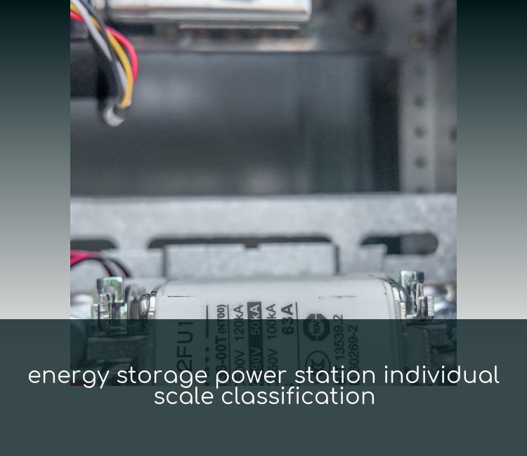 energy storage power station individual scale classification