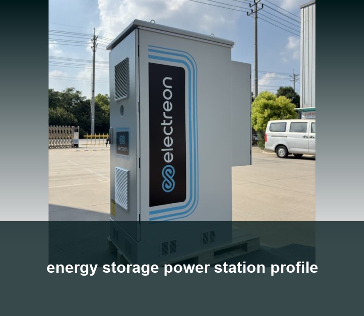 energy storage power station profile