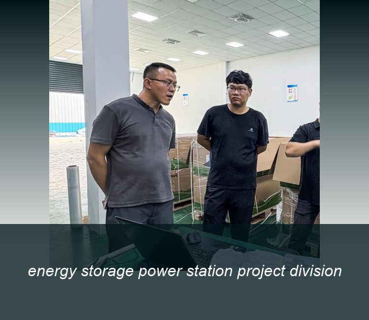 energy storage power station project division