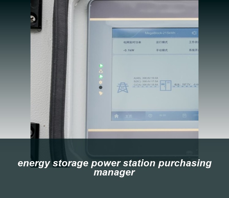 energy storage power station purchasing manager