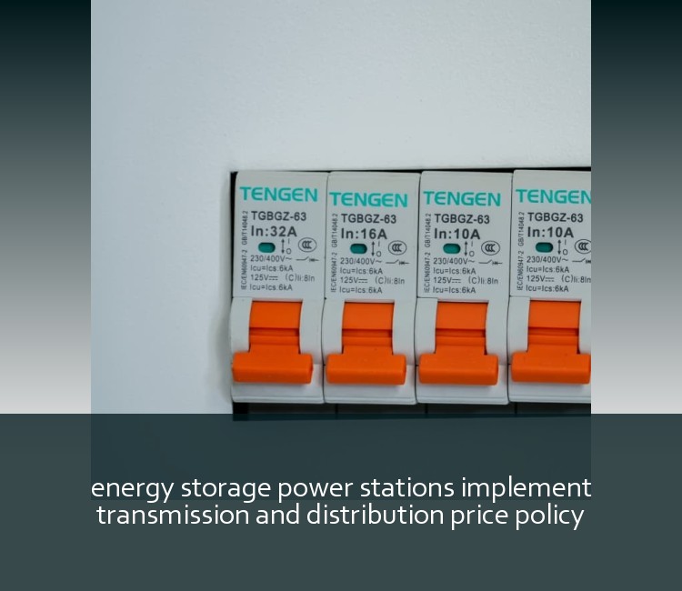 energy storage power stations implement transmission and distribution price policy