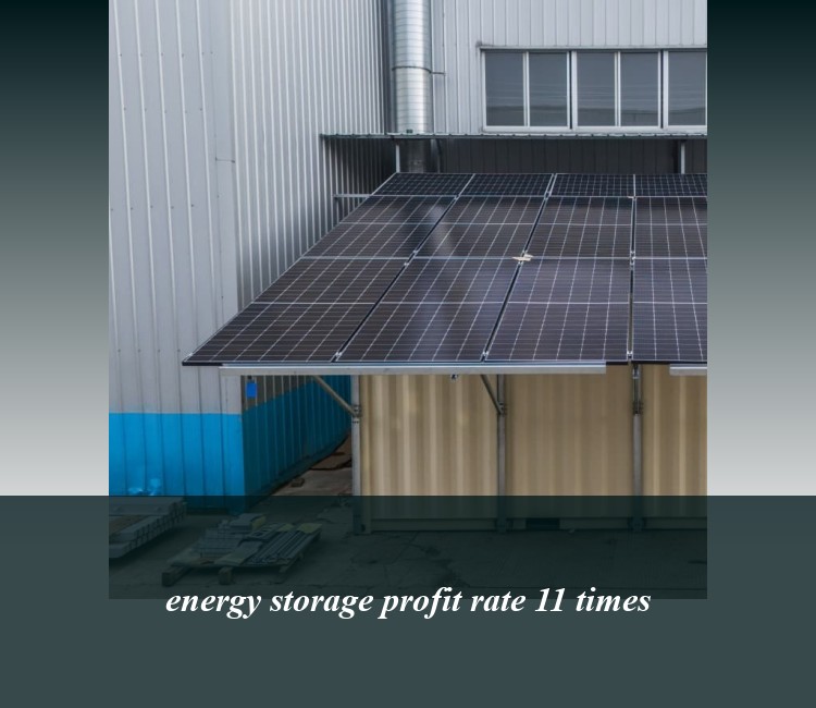 energy storage profit rate 11 times