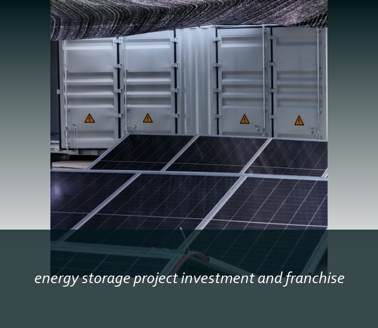 energy storage project investment and franchise