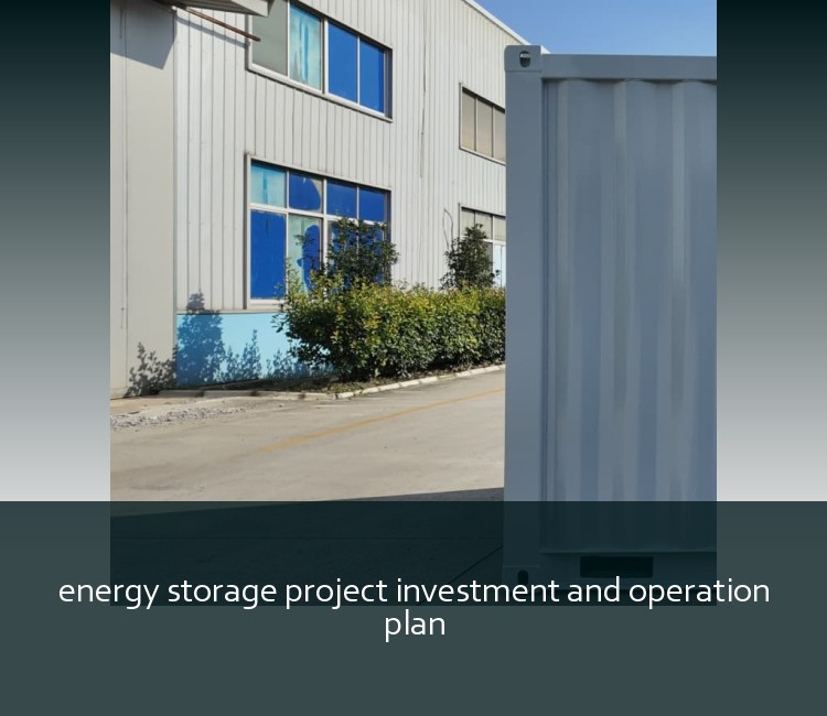 energy storage project investment and operation plan