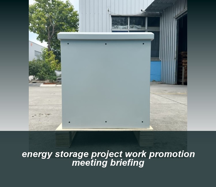 energy storage project work promotion meeting briefing