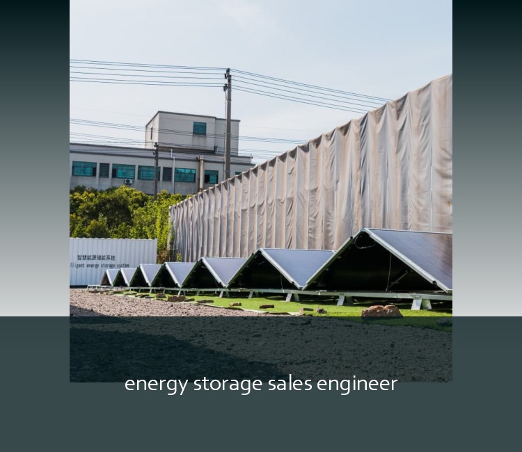 energy storage sales engineer